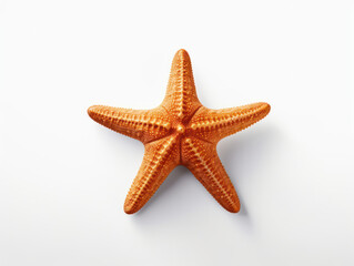 Fototapeta na wymiar Starfish Studio Shot Isolated on Clear White Background, Generative AI