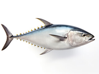 Obraz premium Tuna Studio Shot Isolated on Clear White Background, Generative AI
