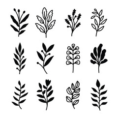 Fototapeta premium Set of branch and leaves vector 