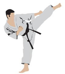 karate kick illustration