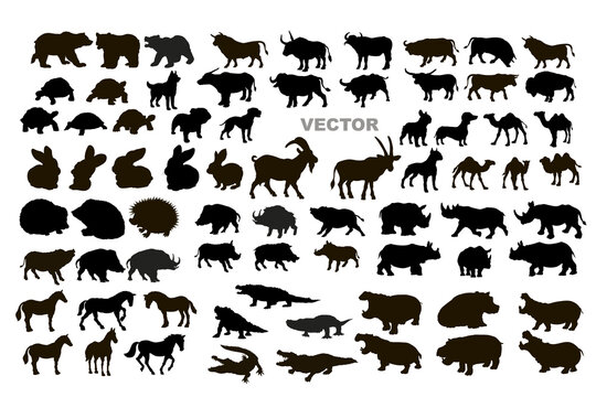 Vector drawing. Black and white image of animals, silhouette, large collection.