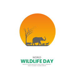 World wildlife day. Wildlife day creative design for social media poster.