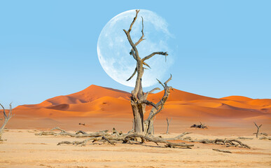 Dead trees in Dead Vlei with full Moon - Sossusvlei, Namib desert, Namibia "Elements of this image furnished by NASA"