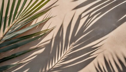 abstract neutral nature background with sunlight and shadow of tropical palm leaves creative minimal summer travel concept with gray shadow palm tree leaf blurred background flat lay mock up