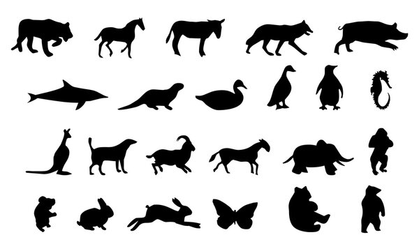 Animals icon collection
