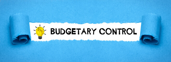 Budgetary Control 