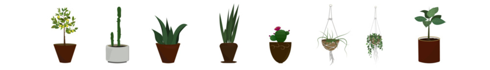Set of houseplants in flowerpots. Hand drawn vector illustration