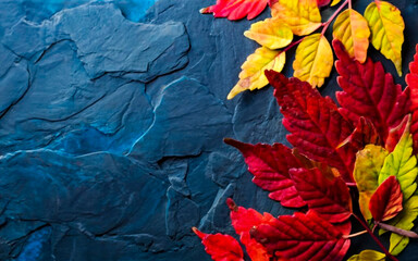 Autumn leaves on black background with copy space