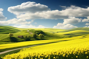 Zelfklevend Fotobehang Breathtaking rural landscape with flowering fields © SMPTY