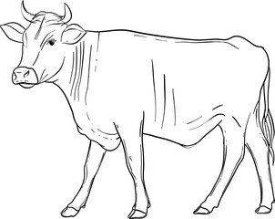 Handdrawn Cow Illustration Isolated Background