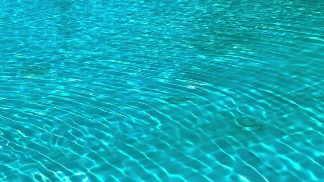 Water Caustics Background on a sunny day - clear pool water - travel photography