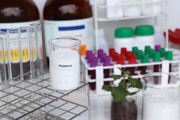 Molybdenum fertilizer, Experimenting with chemical fertilizers for agriculture