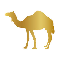 gold camel isolated background