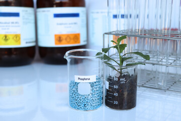 Phosphorus fertilizer, Experimenting with chemical fertilizers for agriculture