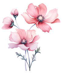 Pink Orchid watercolor flower on white background. Tropical flowers isolated Floral elements collection sets, bundles, bouquets with wildflowers, a bird on flowers