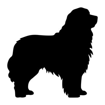recommend clip art: newfoundland Dog Vector Silhouette, Generative AI.