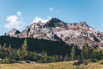 landscape in spring in the alps on a sunny day