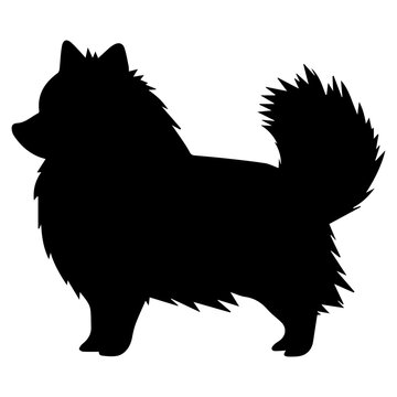 Pomeranian Dog Vector Silhouette, Generative AI.