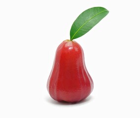 red rose apple on white background
