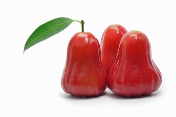 red rose apple on white background