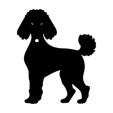 poodle Dog Vector Silhouette, Generative AI.