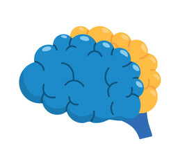 down syndrome brain condition