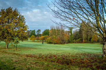 autumn landscape with trees