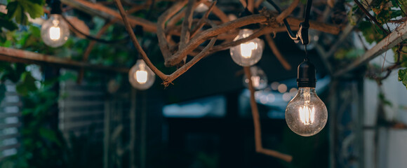 Fototapeta na wymiar vintage light bulb hanging from grape tree for decoration outdoor garden.