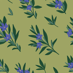 Periwinkle plants seamless pattern. Vector ornament of Vinca minor flowers. Botanical design in cartoon style.