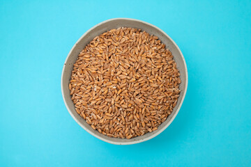 Wholegrain uncooked raw spelt in ceramic bowl