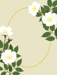 Gentle frame with white rosehip flowers and gold oval on a beige background. Vector illustration.