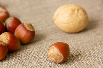Hazelnuts and walnuts on a table on a natural canvas