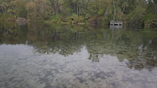 Pan left to right Silver Springs Florida Headspring view across water with trees on opposite side and reflections of clouds and trees in calm water.
