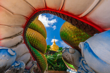 Big gold buddha and naga status in tham pha daen temple, the famous place of Sakon Nakhon Province, Thailand. - obrazy, fototapety, plakaty