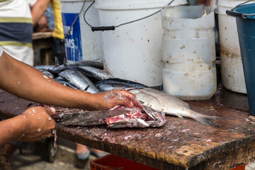 Fisherman cutting fish in a fish market in Ecuador