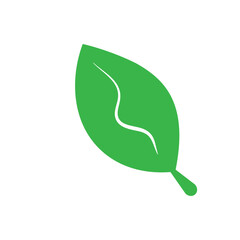 leaf logo icon