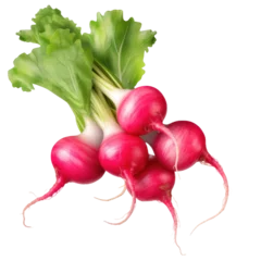Fotobehang Red radish vegetable on transparent background © Nazmus