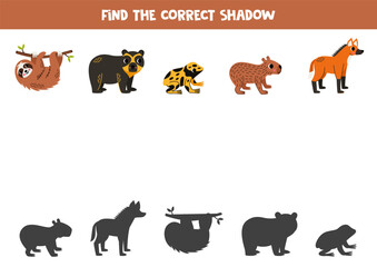 Find shadows of cute south American animals. Educational logical game for kids.