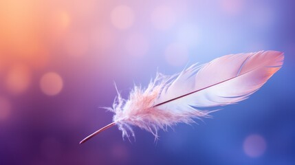  a close up of a white feather on a blue and pink background with a blurry boke of light coming from the top of the feather and the feather.