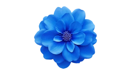 Fotobehang blue flower isolated on transparent background cutout © Papugrat