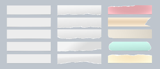 Set of torn white and colorful note paper pieces stuck on grey background.