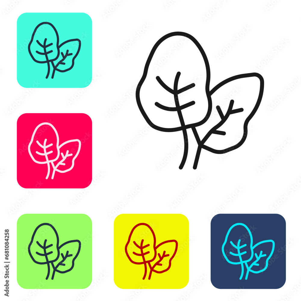 Poster black line tropical leaves of palm tree icon isolated on white background. set icons in color square