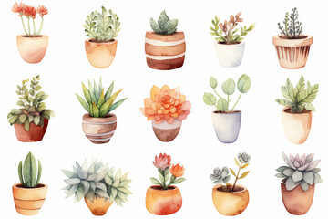 Watercolor from a cute succulent pot plants on white background.