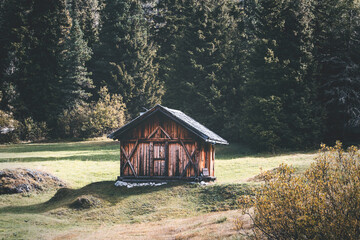 wooden cabin in the mountains by the forest of pines