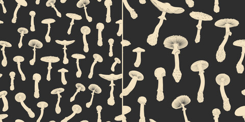 Vector illustration set of moon phases. Different stages of moonlight activity in vintage engraving style. Zodiac Signs