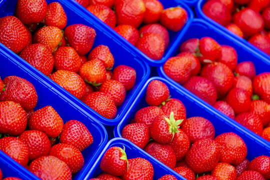 Selective focus of red ripe strawberry in plastic boxes, Fresh fruit from the farm on market, The garden strawberry is a widely grown hybrid species of the genus Fragaria, Health benefits of berries.