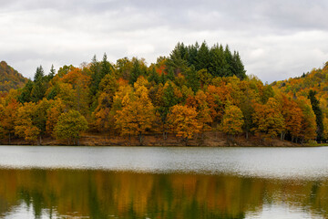 Fototapeta na wymiar fall foliage forest reflecting in the still surface of lake water, Beautiful Autumn foliage colors above water.