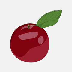 자두 벡터 일러스트 이미지