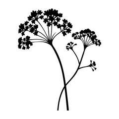 verbena silhouette isolated vector