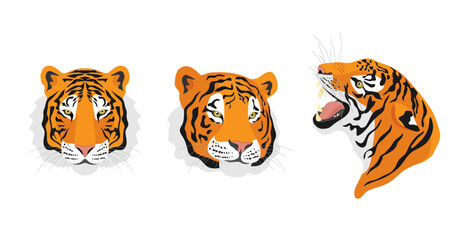 Tigers. Set of avatars. Isolated vector illustration